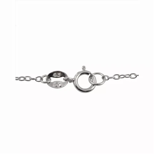 Collette Z Sterling Silver Cubic Zirconia Circle Necklace