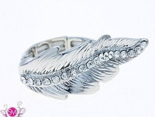 Chastity in Silver