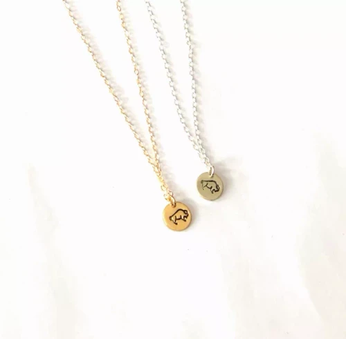 Buffalo Circle Charm Necklace