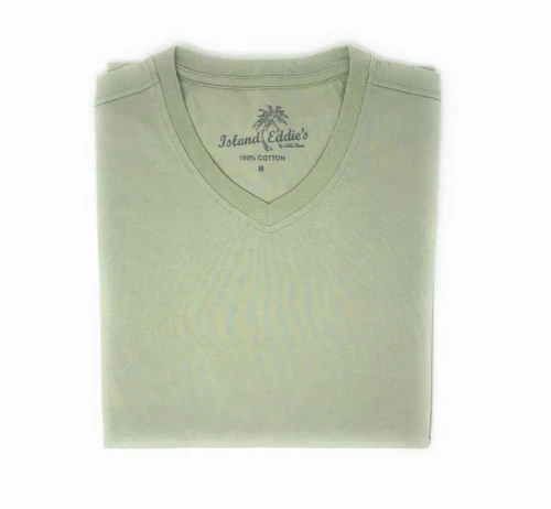 V-neck T-shirt