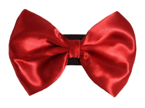 PR3000|Pets Ribbons