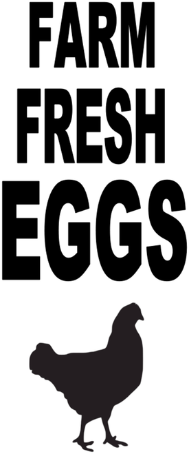Farm Fresh Eggs (With Chicken)