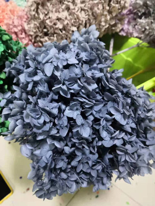 Preserved Hydrangeas, Dried Floral Decor