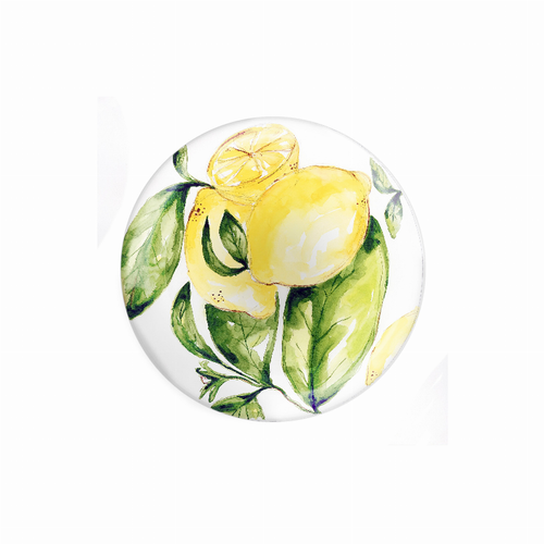Citrus Melamine Dessert Plate / Set of 4
