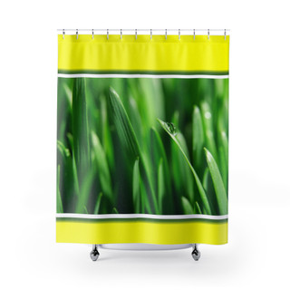 Shower Curtain