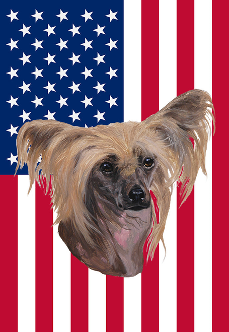 Yorkies - Best of Breed Pipsqueak Productions Outdoor Flag