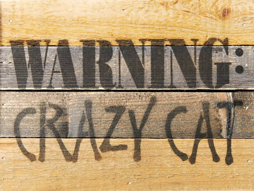 Warning: Crazy Cat... Wall Sign