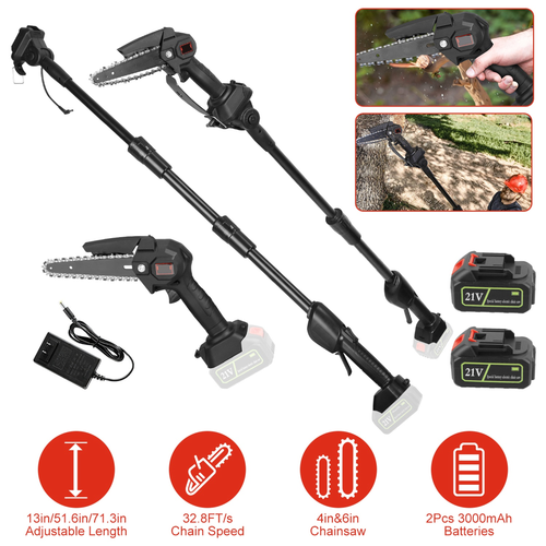 2-in-1 Cordless Pole Saw & Mini Chainsaw 