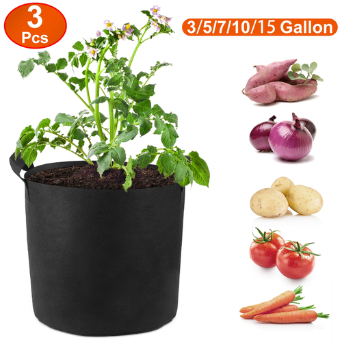 3 Pack Plant Grow Bag