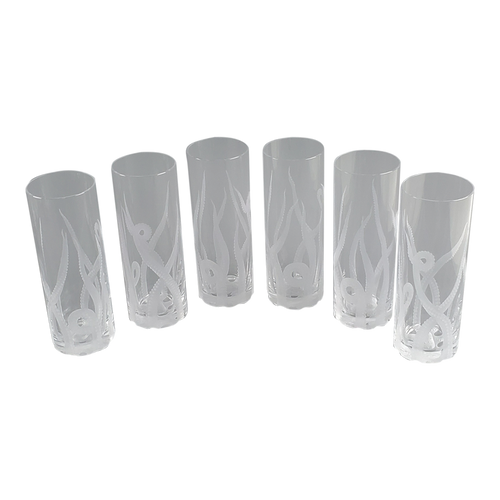 Octopus Engraved Set / 6 Highball Glasses