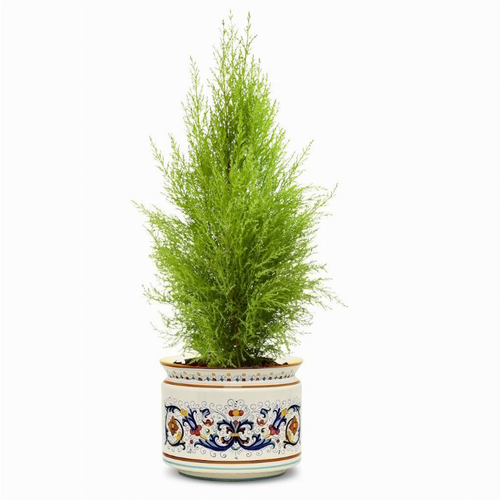 RICCO DERUTA PLANTER/CACHEPOT