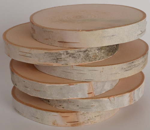 Birch Log Coasters set of six