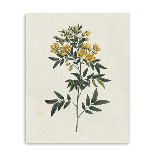 Singular Yellow Blossom Branch Unframed Print Wall Art Polyester