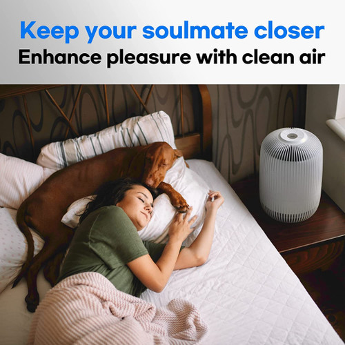 Clair K2 Air Purifier