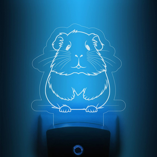 Curious Hamster Nightlight | Classroom Pet Night Light