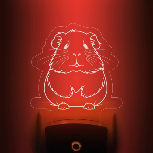 Curious Hamster Nightlight | Classroom Pet Night Light