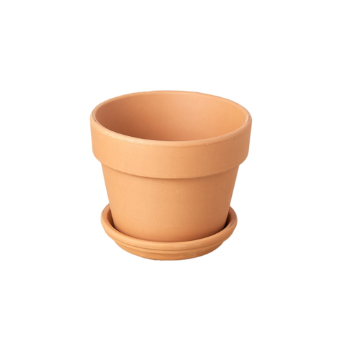 Terra Cotta Short 