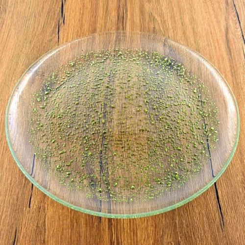 ISLA Glass Plate