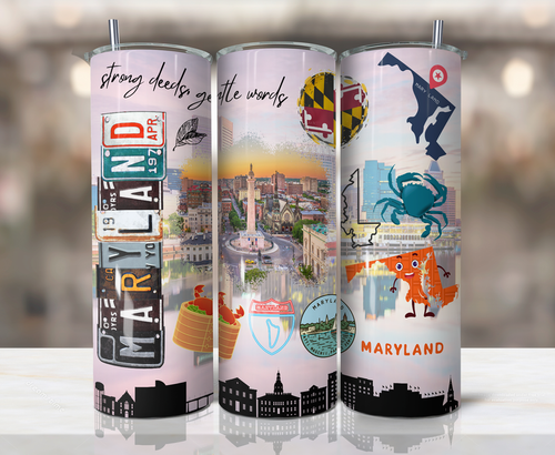 Stainless Steel Tumbler - United States
