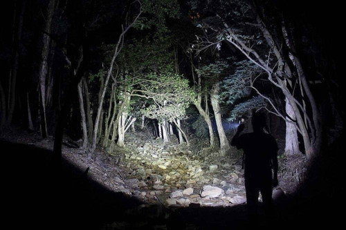 FENIX Rechargeable LED Flashlight 1000 Lumens Cree XM-L2 U2 