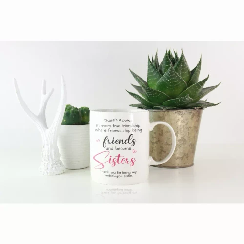 Unbiological Sisters Mug and Coaster Set