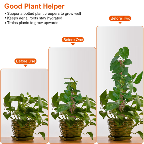 4Pcs Coco Coir Extendable Moss Pole for Climbing Plants Plant 