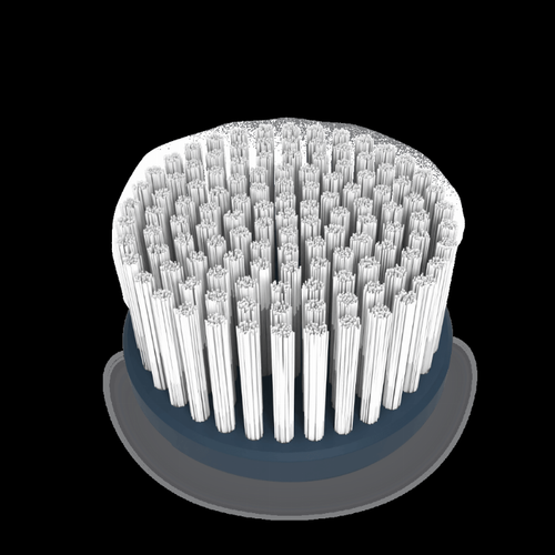 Flat Bristle Brush - Hard