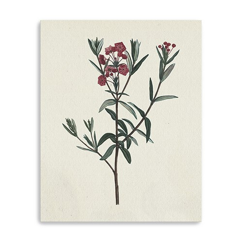 Singular Red Blossom Branch Unframed Print Wall Art Polyester