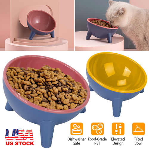 Raised Tilted Elevated Cat Food Bowl Pet 