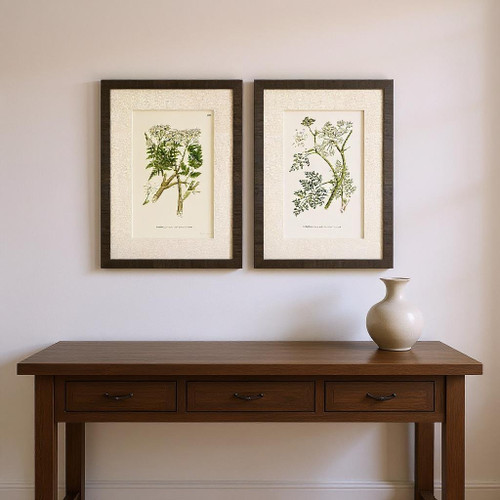 Set Of Two Queen's Lace I Brown Framed Wall Art