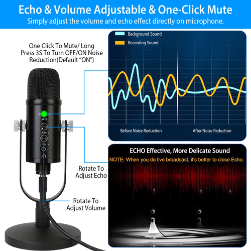 USB Condenser Microphone Set 
