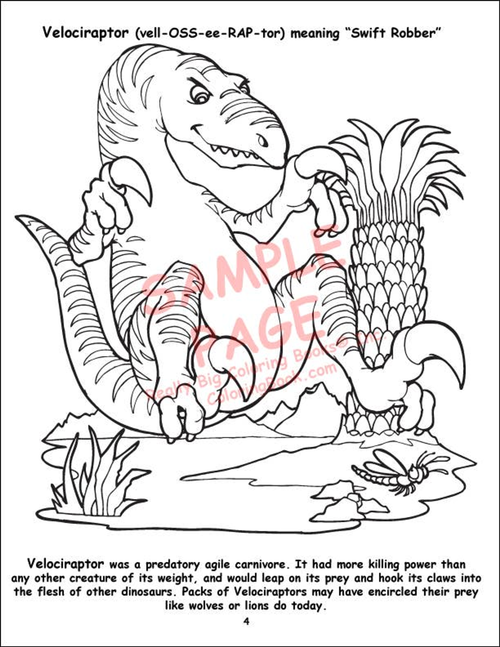 12 Dinosaurs 12 Horses Coloring Books