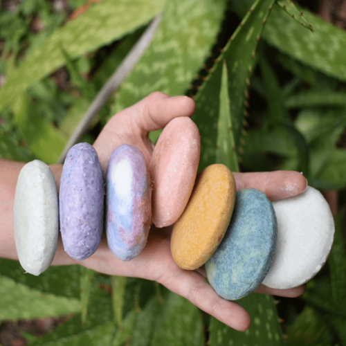 Zero Waste Shampoo Bar by Tangie- Rosemary Mint