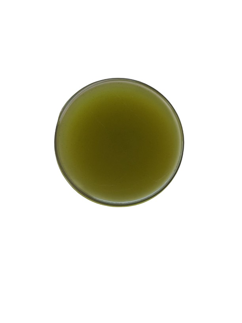 Green BeauTEA Hair Butter Balm