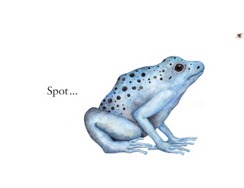 Spot, Spike, Spiral