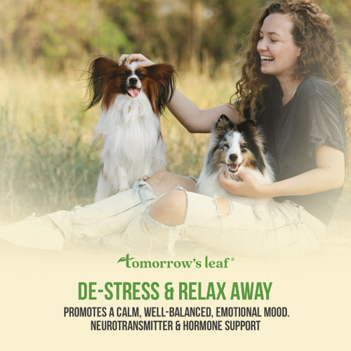 Tomorrow's Leaf De-Stress & Relax Away