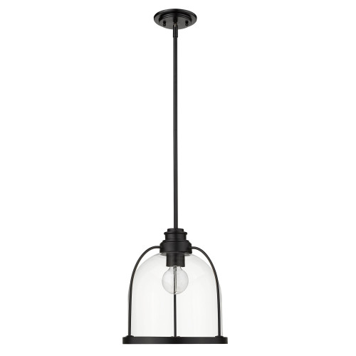 Homeroots Lighting Stanton 1-Light Matte Black Pendant