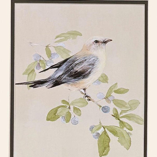 Set Of Two Botanical Birds Set of Set Gold Framed Wall Art