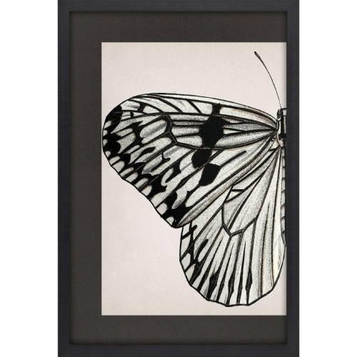 Grand Butterfly I Black Framed Wall Art