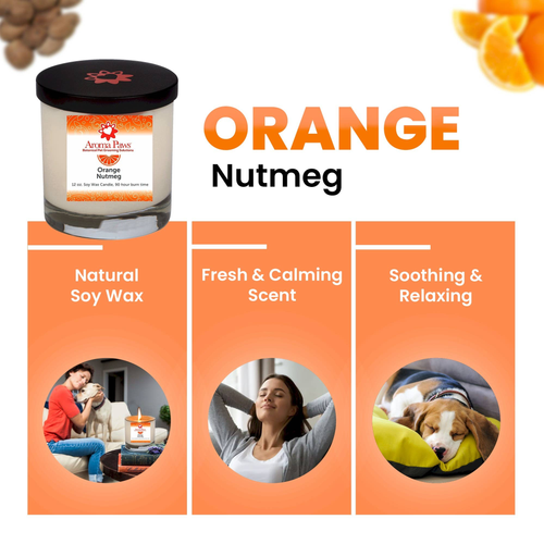 12 Oz Candle Orange Nutmeg Vetiver