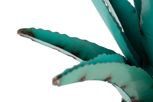 20" Turquoise Metal Succulent Garden Hanging Wall or Door Decor