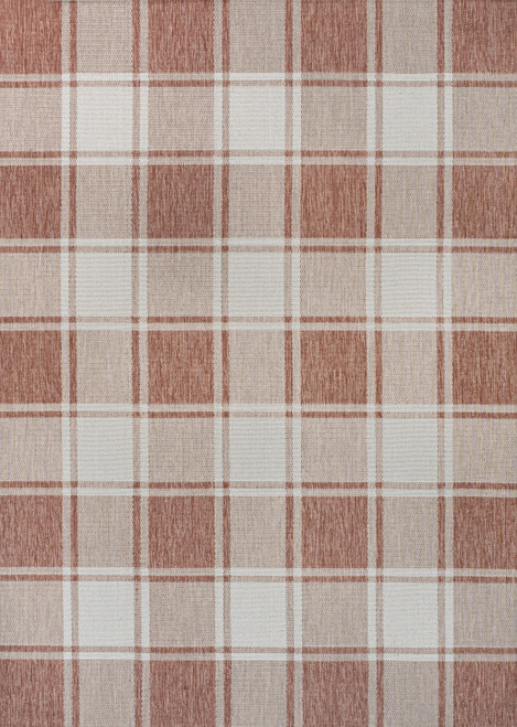 3' X 5' Salmon And Cream Gingham Indoor Outdoor Area Rug