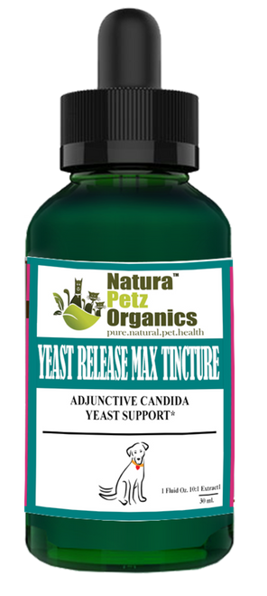 Yeast Release Max Tincture* Adjunctive Candida Yeast & Immune Support* Dogs Cats