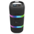 Portable Bluetooth TWS LED Speaker