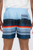 Striped Print Swim Shorts