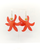 Red Acrylic Flower Earrings