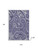 8' X 10' Plum And Ivory Geometric Washable Area Rug With UV Protection