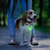 Pet Blinkers Flashing LED Pet Safety Light 