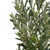 30" Green Artificial Olive In Cylindrical Black Pot