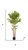 39" Green Artificial Bamboo In Cylindrical Black Pot